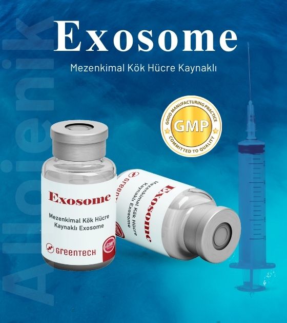ExoMER Eksozom